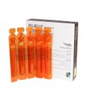 ویال خوراکی ژل رویال روژویت زیست تخمیر 10 عدد